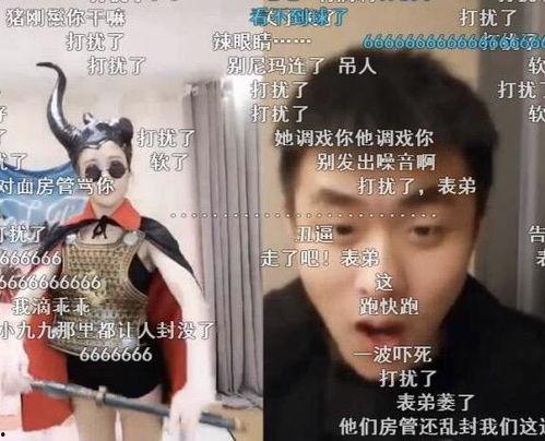 女主播和表弟,一场跨越亲情的直播传奇