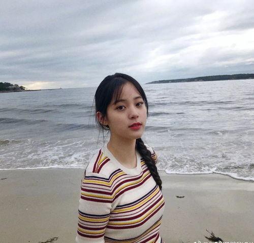 娱乐圈4大,揭秘幕后故事与辉煌成就