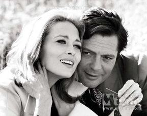 安尼图片,捕捉光影之美，探寻视觉奇观